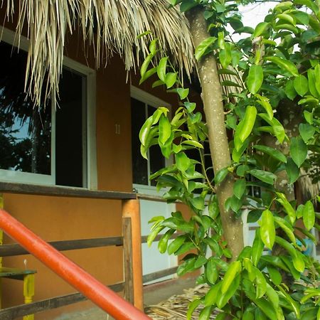 Posada La Huerta Mazunte Exterior foto